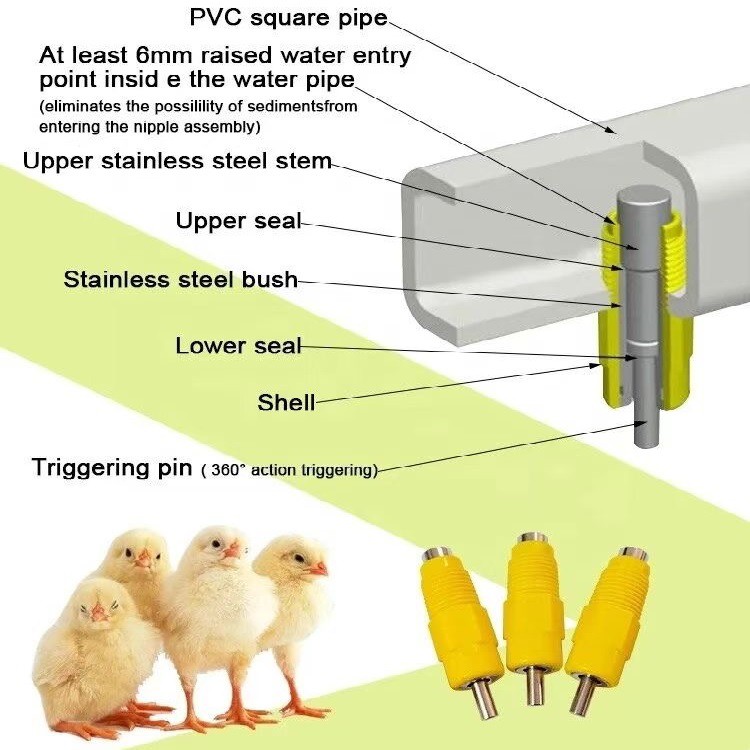 Broiler Nipple Dinker Lines