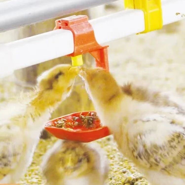 Floor Drinking Systems